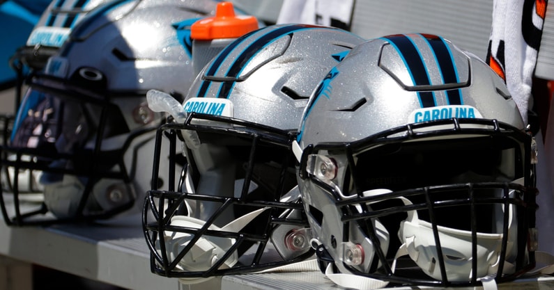 panthers helmets