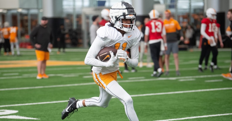 Chris Brazzell, Tennessee Football | Brianna Paciorka/News Sentinel / USA TODAY NETWORK