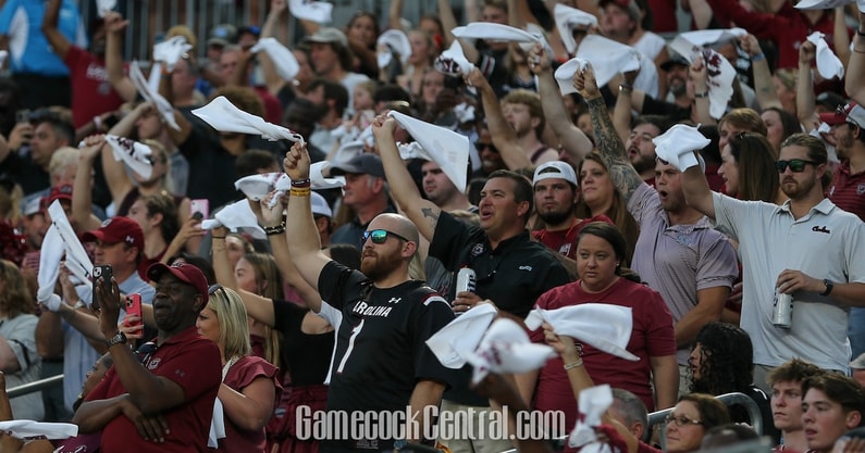 Fans cheer at a South Carolina football game (Photo: CJ Driggers | GamecockCentral.com)