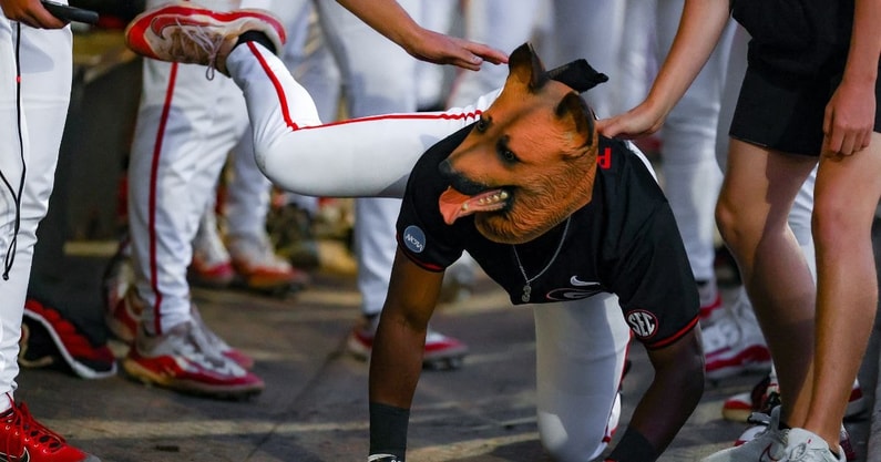 DogMask