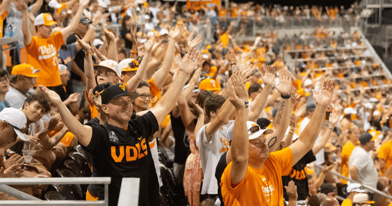 Tennessee baseball fans. Credit: Saul Young/News Sentinel / USA TODAY NETWORK