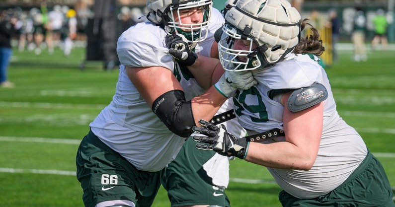 Ashton Lepo, Michigan State