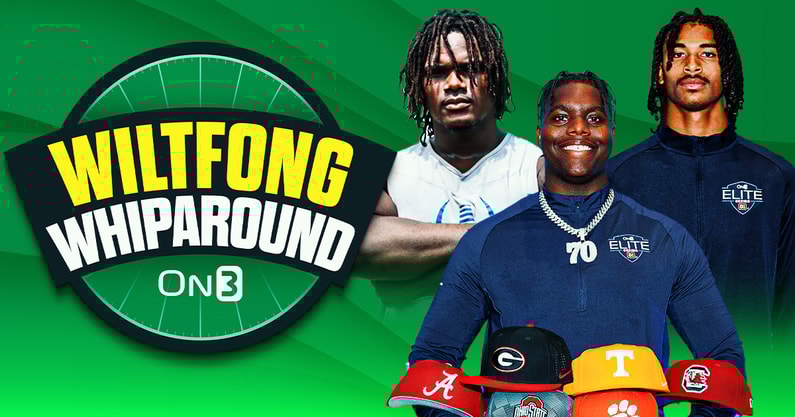Wiltfong-Whiparound- (2)