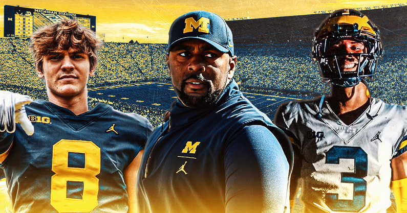 michigan afi