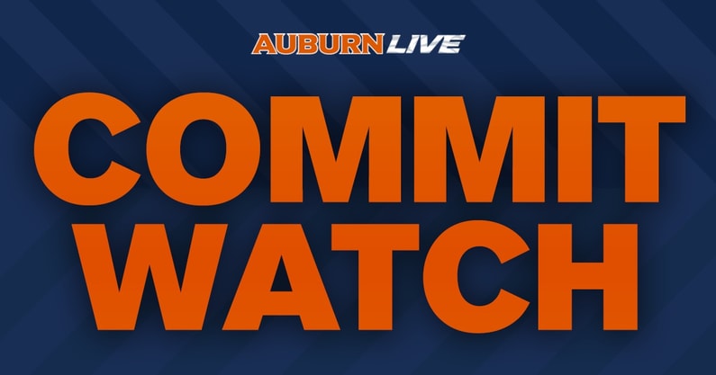 commitwatch afi