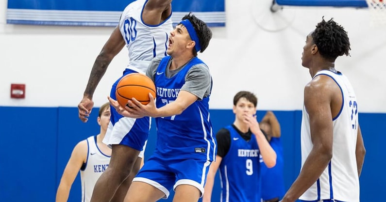 Kerr Kriisa, Kentucky basketball