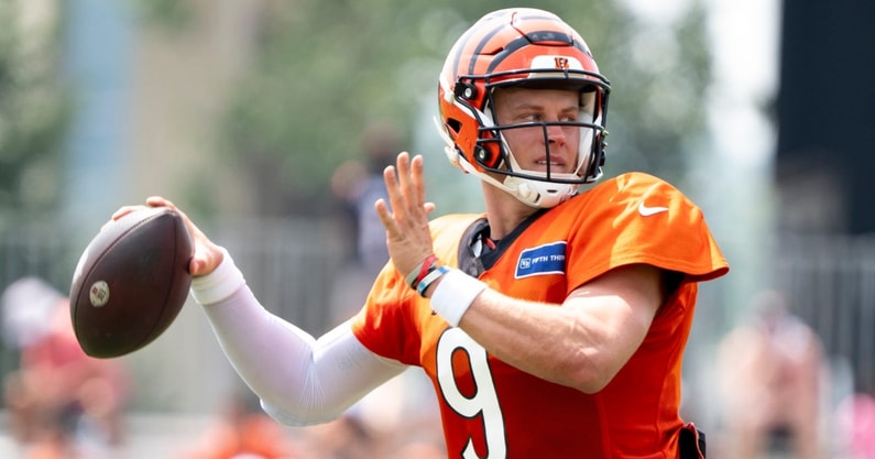 Joe Burrow (1)