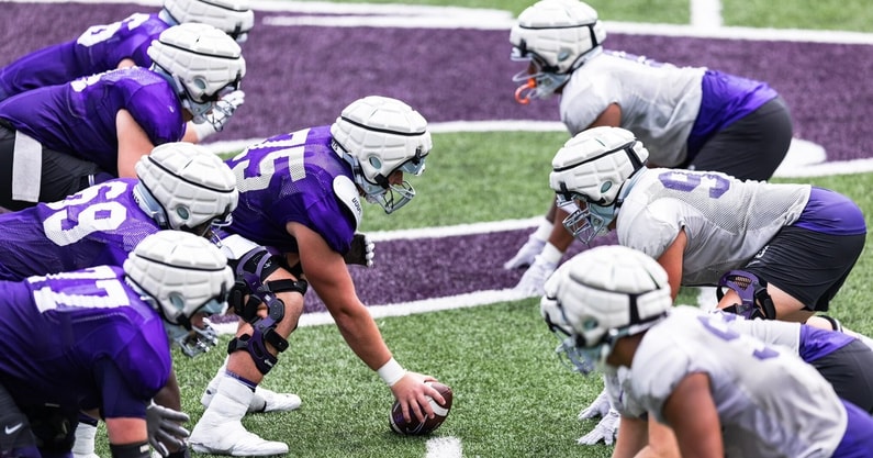 Kansas State Wildcats 2024