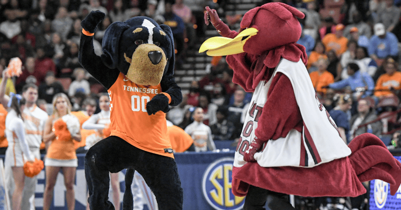 SEC Mascots from Tennessee and Sotuh Carolina dance