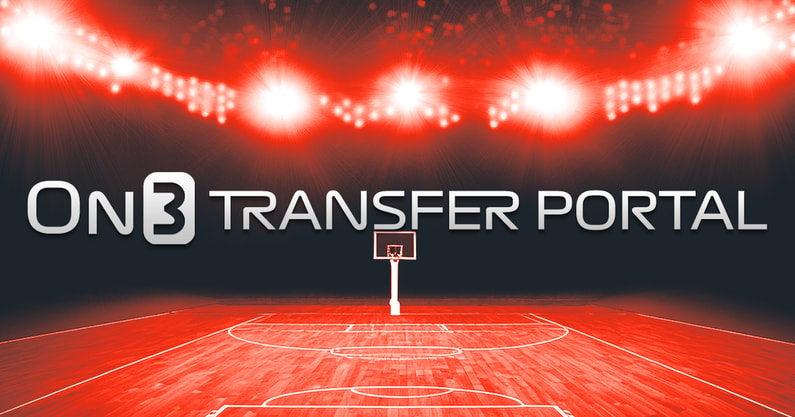 college basketball transfer portal