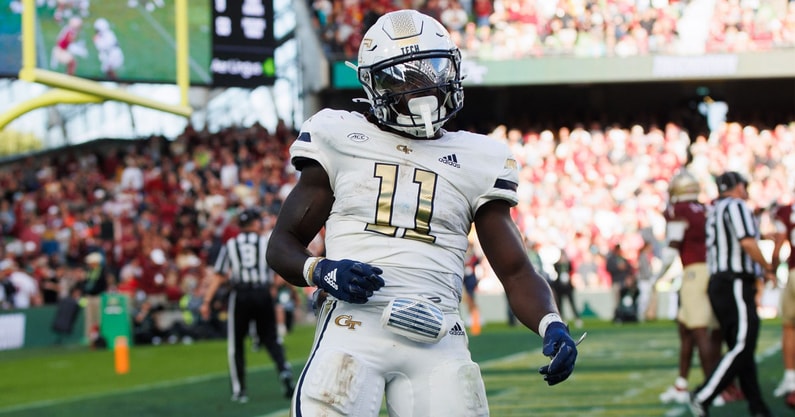 Jamal Haynes