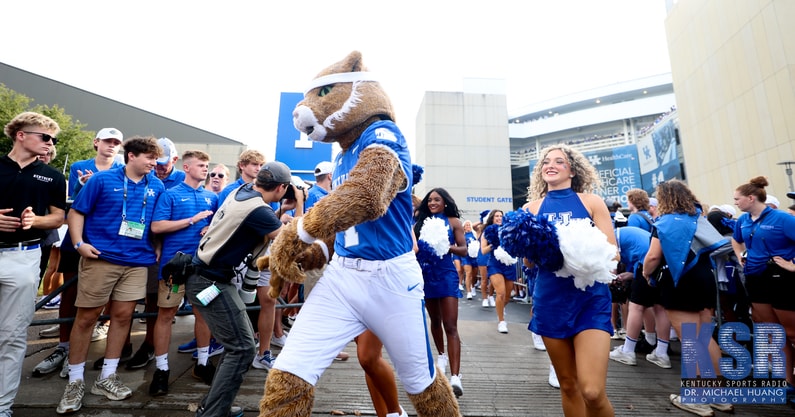 Kentucky Wildcat at the Cat Walk.