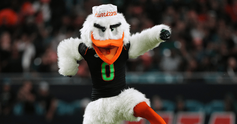 miami mascot