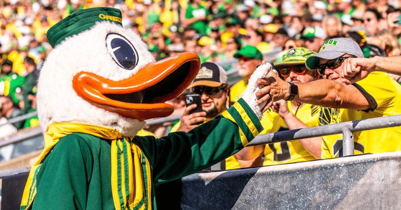 Duck