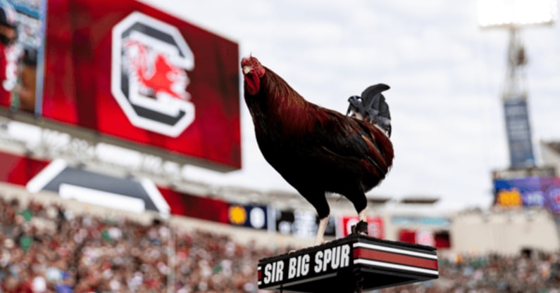 5-things-you-need-to-know-about-the-south-carolina-gamecocks-5