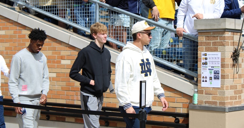 brady koehler-2