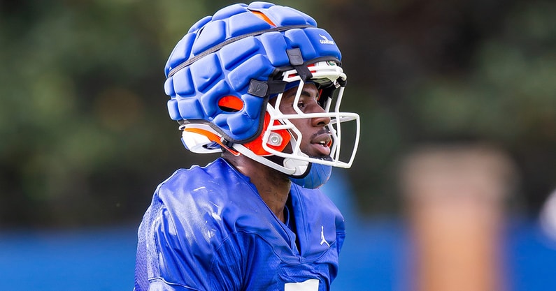 Florida DB Trikweze Bridges