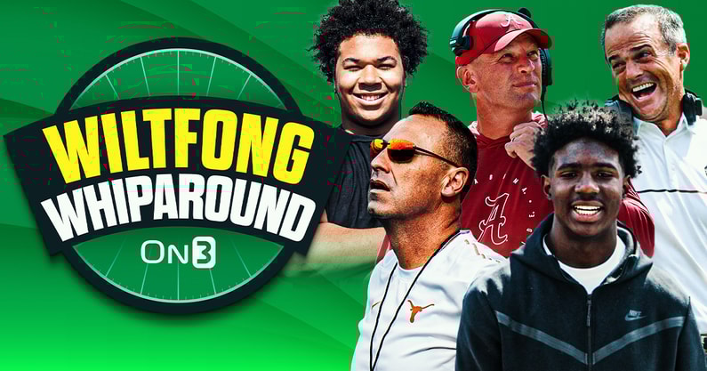 Wiltfong-Whiparound afi (1)