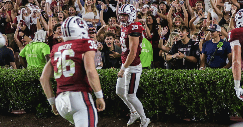 South Carolina punter Kai Kroeger (Katie Dugan/GamecockCentral)