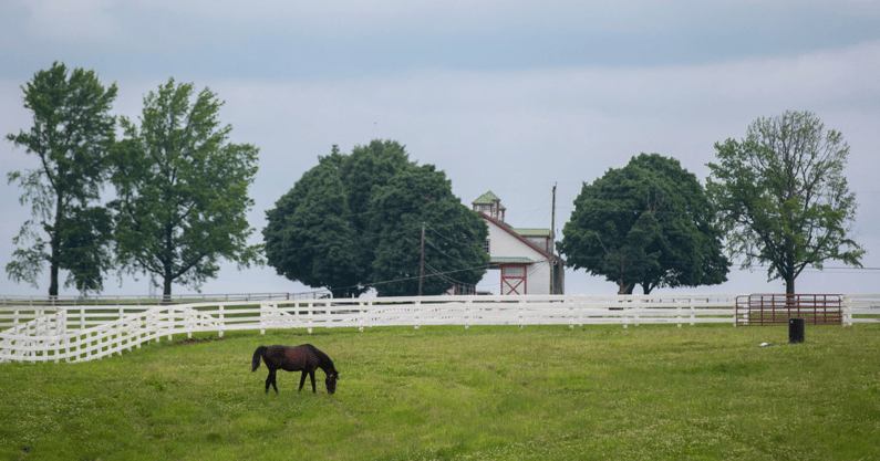 Calumet Farm just outside Lexington, Kentucky - © Alton Strupp/Courier Journal, Louisville Courier Journal via Imagn Content Services, LLC