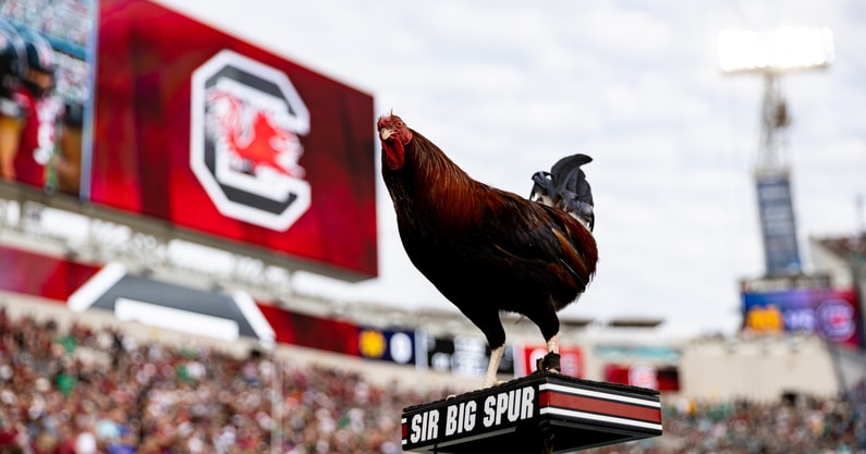 NCAA Football: Gator Bowl-South Carolina at Notre Dame
