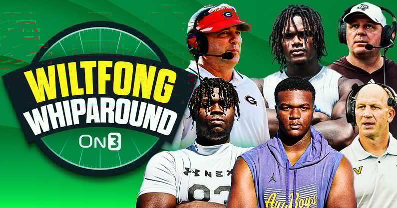 Wiltfong-Whiparound-- (1)