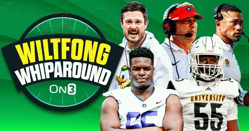 Wiltfong-Whiparound-10