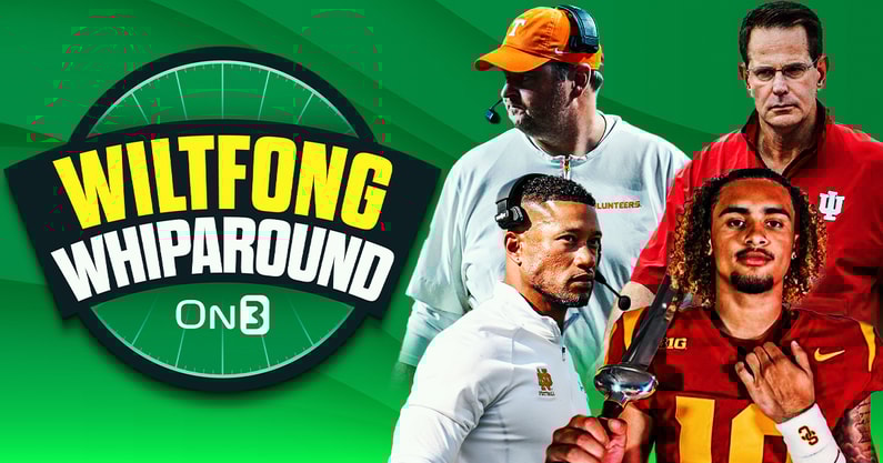 Wiltfong-Whiparound- (11)
