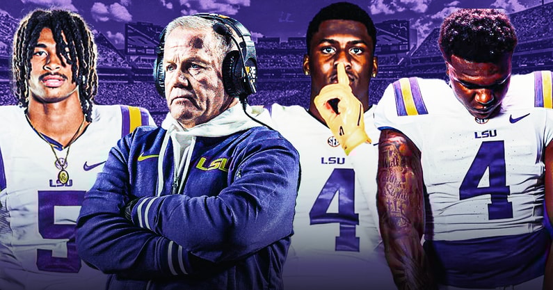 lsu afi (1)