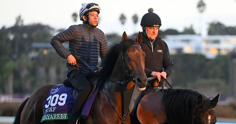 Horse Racing: Breeders' Cup Championship-Workouts