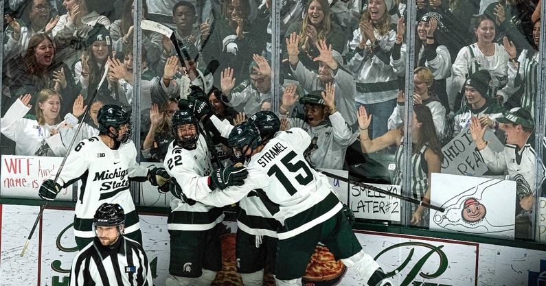 hockey goal 1200
