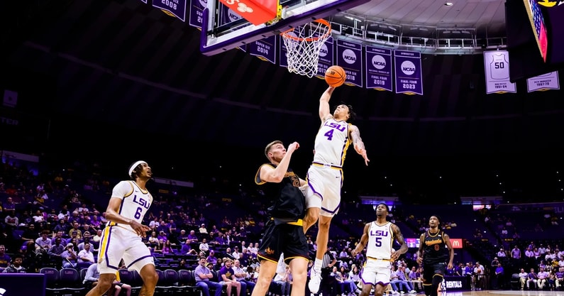 Dji Bailey LSU
