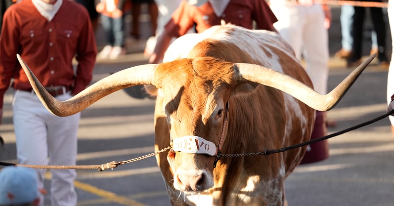 NCAA Football: Florida at Texas