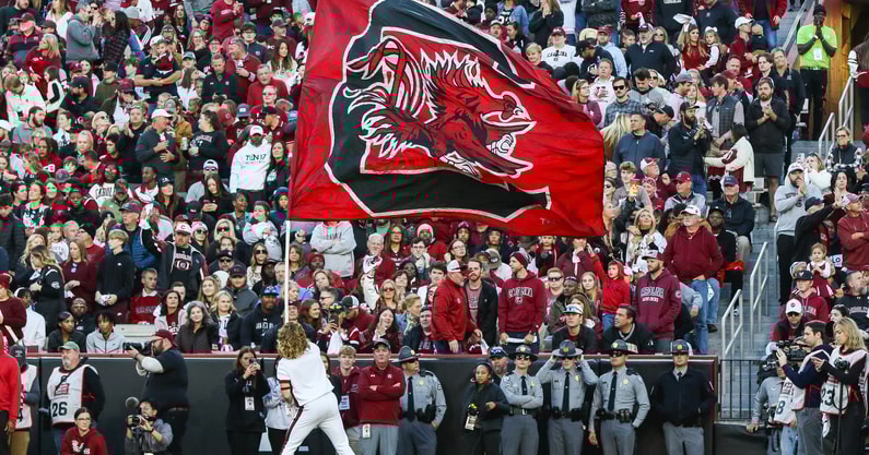 gamecock-flag_54160707845_o-South Carolina Gamecocks football vs Wofford Terriers-Nov 23 2024-Credit Katie Dugan GamecockCentral