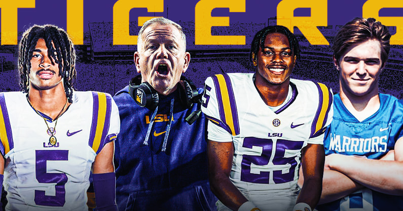 lsu afi (1)