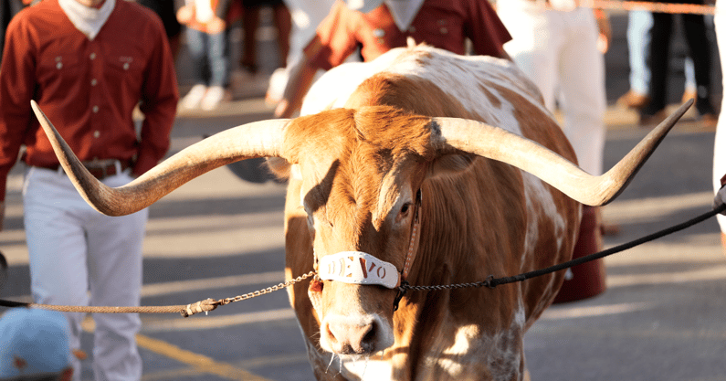 bevo