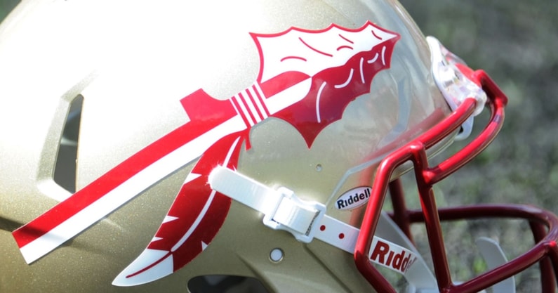 Florida State Helmet