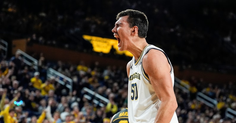 Michigan Wolverines basketball center Vladislav Goldin/ (Photo by Junfu Han / USA TODAY NETWORK via Imagn Images)