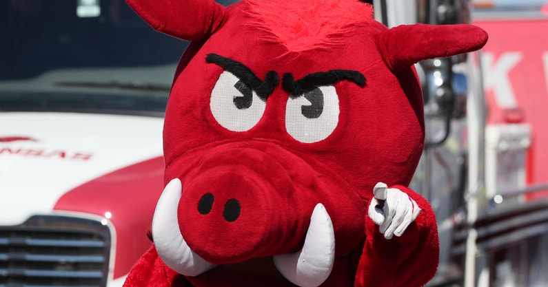 NCAA Football: Liberty at Arkansas