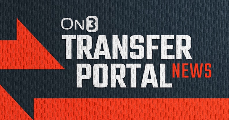 LSU Transfer Portal Targets