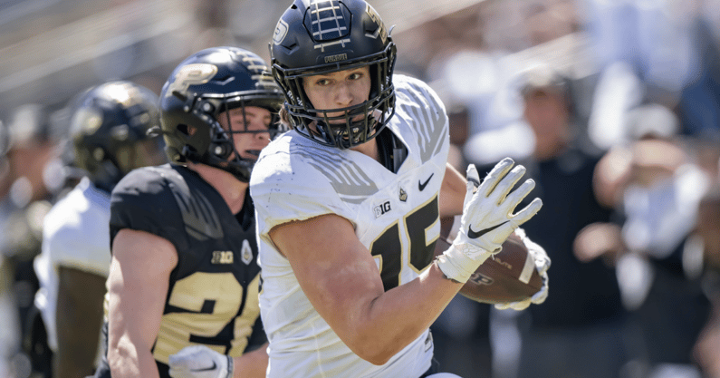 LSU is hosting some top targets from the Transfer Portal (Photo: Krockover Photography)
