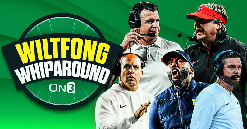 Wiltfong--Whiparound (1)