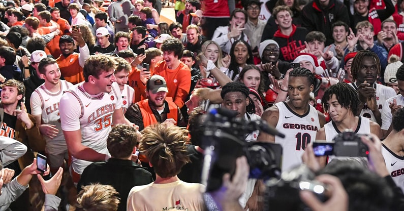 clemson-georgia-crowds