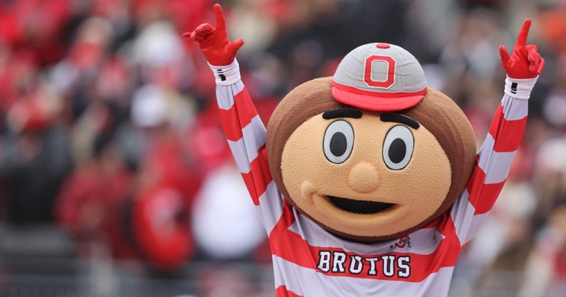 Brutus Buckeye