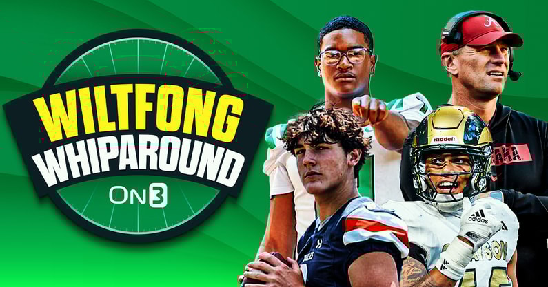 Wiltfong-Whiparound- (16)