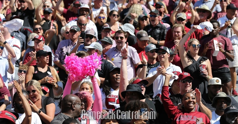 South Carolina fans in the stands (Photo: CJ Driggers | GamecockCentral.com)