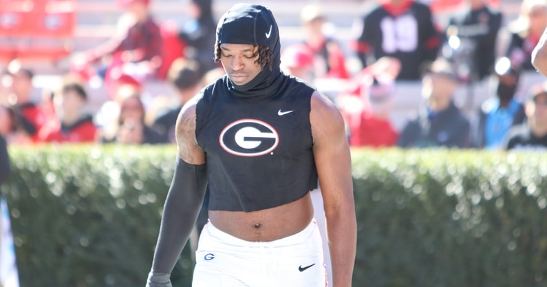 Quintavius Johnson/Georgia