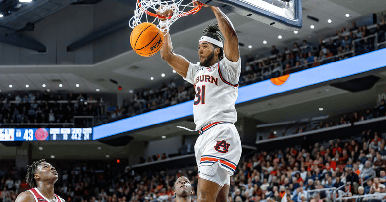 chaney-johChaney Johnson (Photo by Matt Rudolph/Auburn Live)nson-auburn-basketball