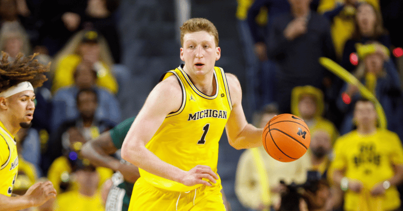 Michigan Wolverines basketball junior forward/center Danny Wolf struggled vs. Illinois (Photo by Brian Bradshaw Sevald-Imagn Images)