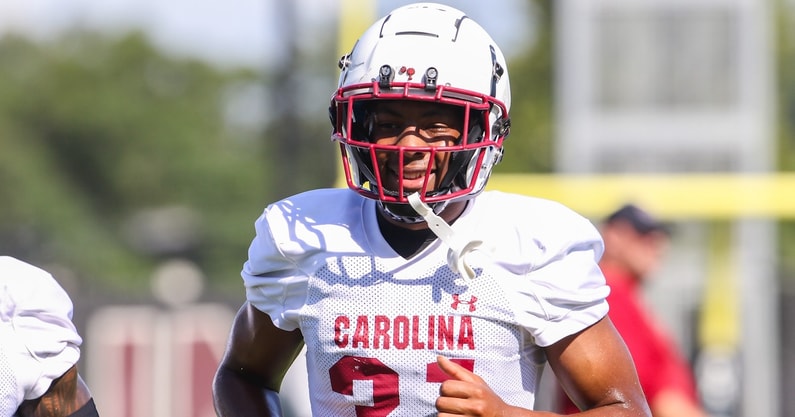 South Carolina Gamecocks safety Peyton Williams (Photo: Katie Dugan | GamecockCentral.com)